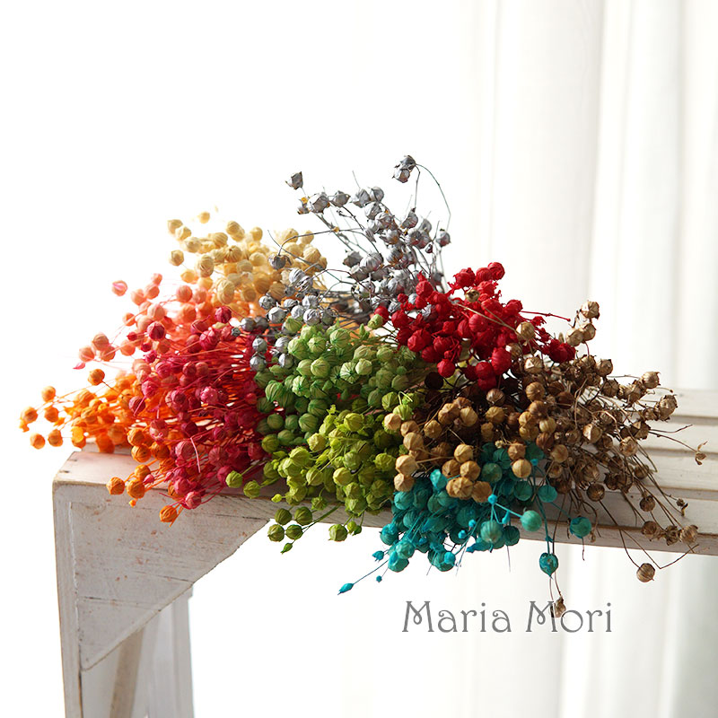 5g Preserved Flax Bean Natural - Candle Making Activity 리뷰 및 가격