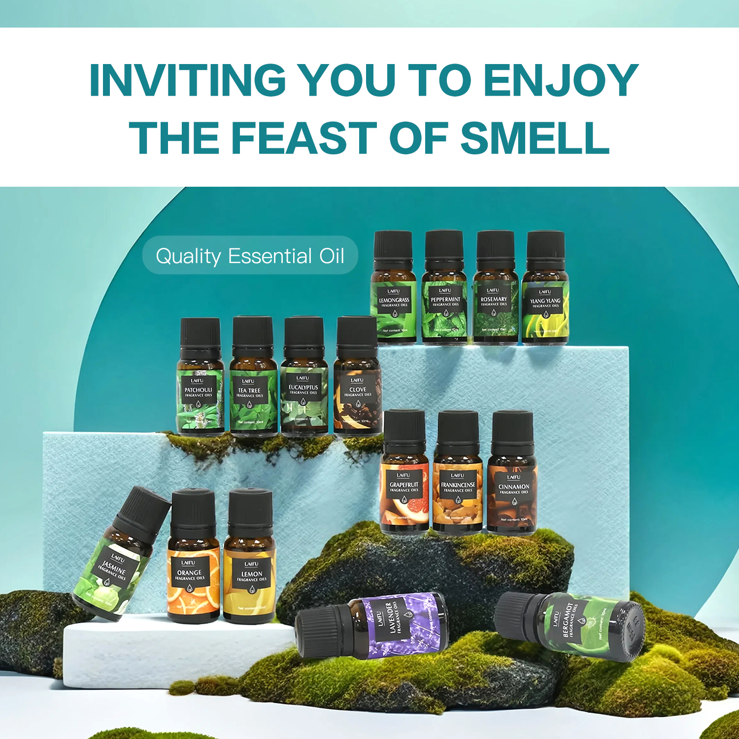 16x10ml Essential Oils Set for - Candle Making Kit Wholesale 리뷰 및 가격