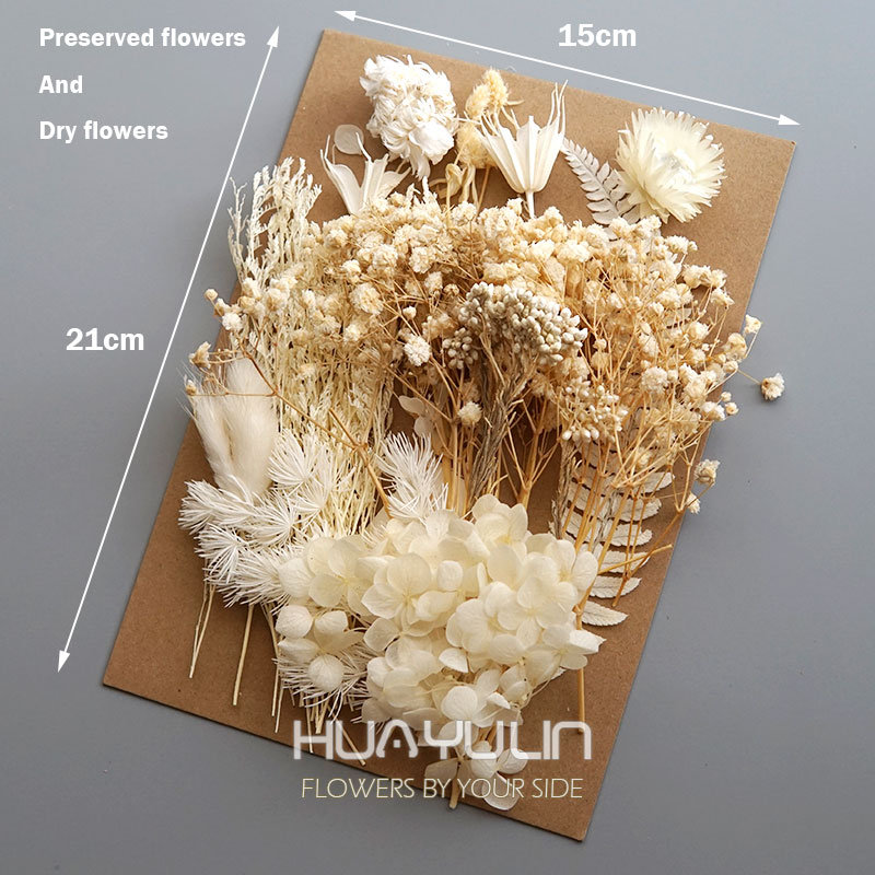 1 Pack Artificial Plants Dried - Candle Making Activity 리뷰 및 가격